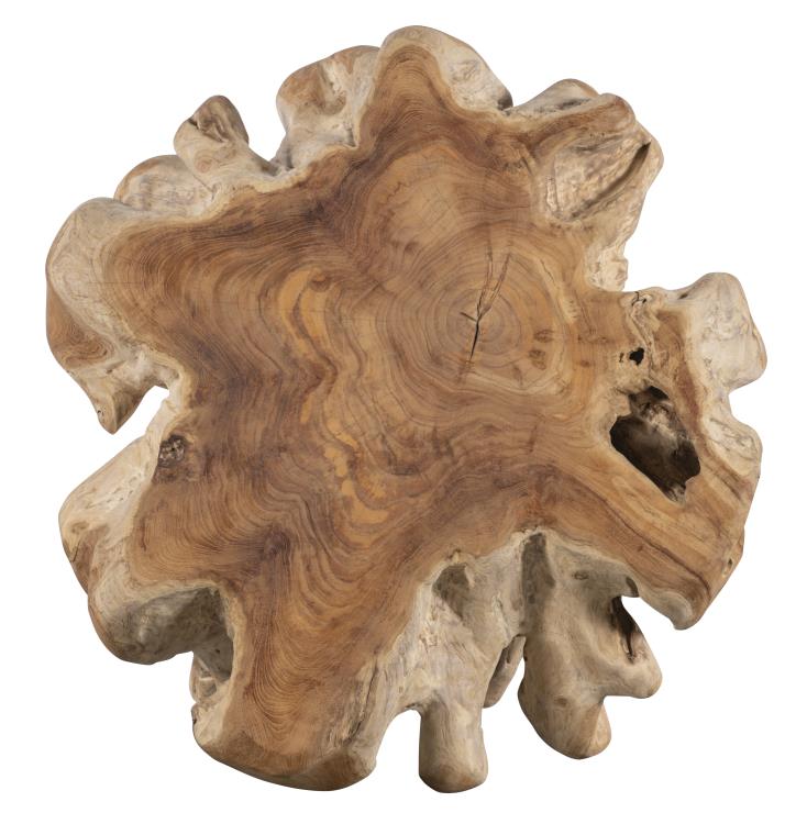 Hunter Teak Root Accent Table - Natural