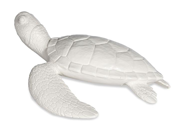 Shelldon Tortoise Accessory White