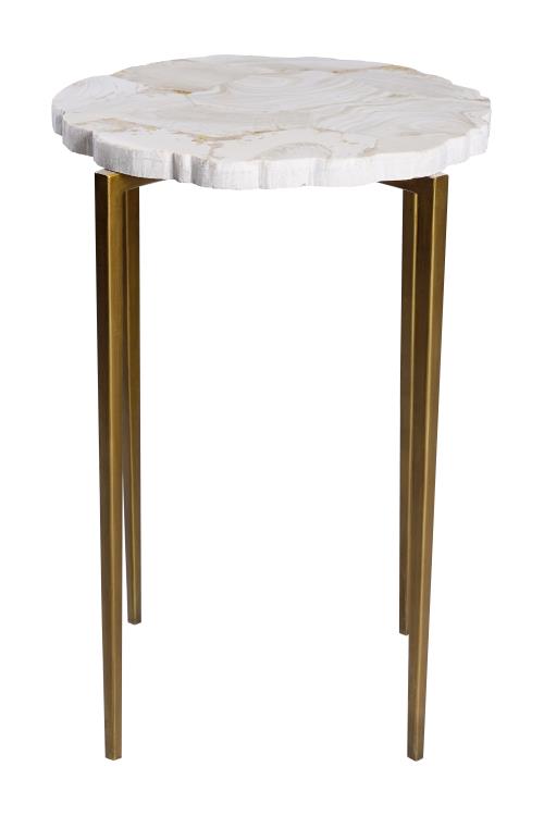 Fossil Top Accent Table (Sh07-123118)