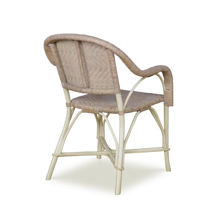 Rayne Arm Chair